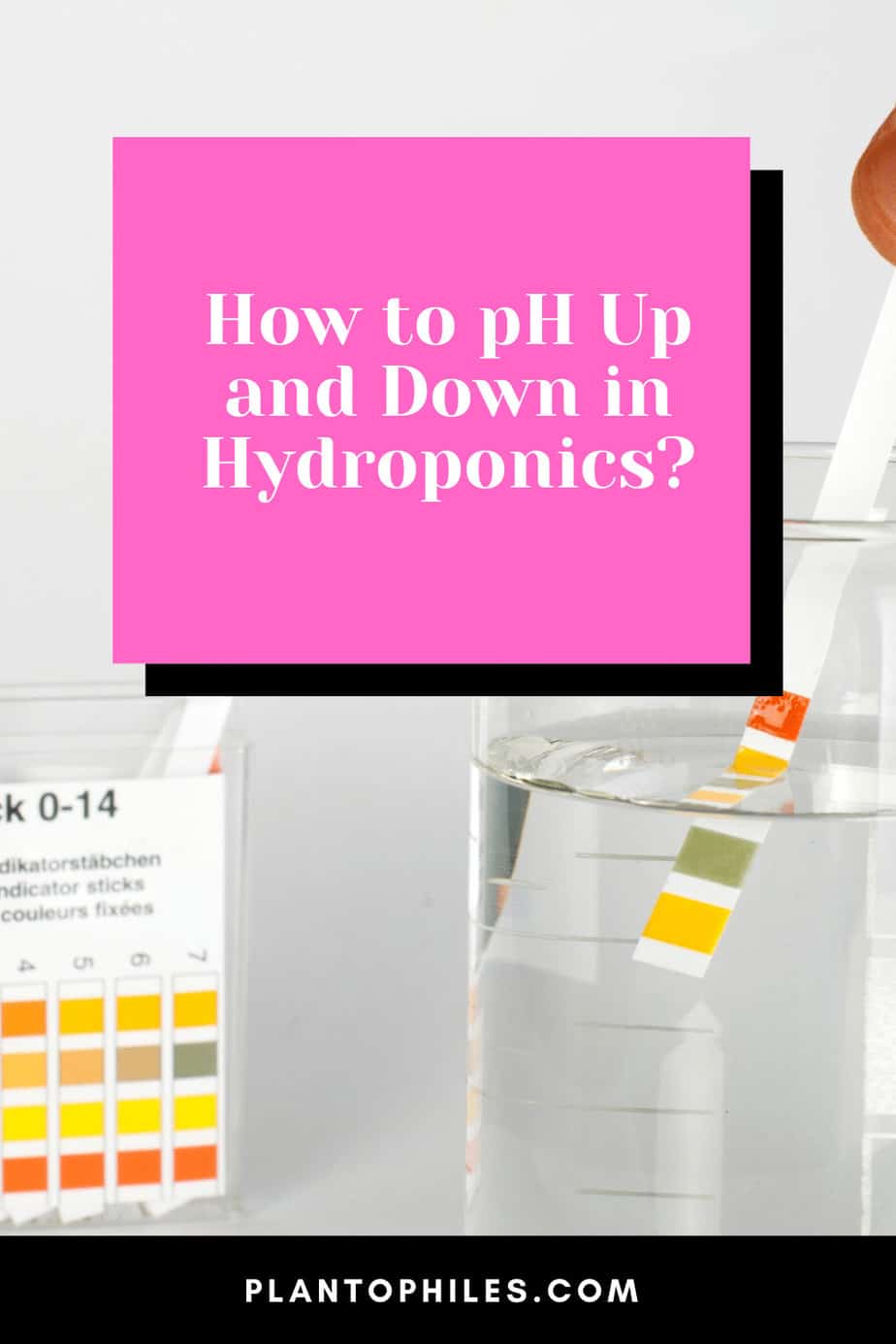 How to pH Up and Down in Hydroponics