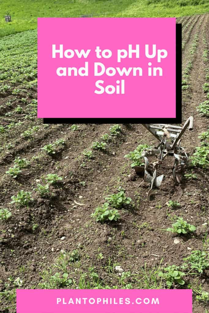 How to pH Up and Down in Soil