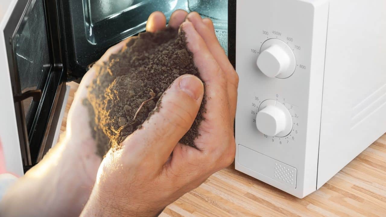Sterilize Soil in the Microwave