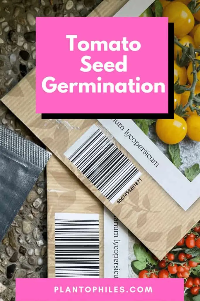 Tomato Seeds Germination Time