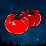 What is Eating My Tomato Plants at Night (1)