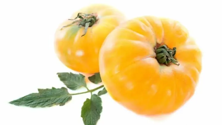 Pineapple Tomato Plant Care &ndash; A Definitive Guide
