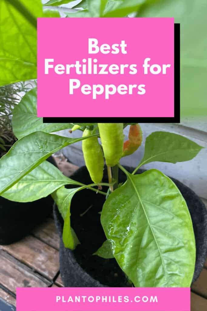 Best Fertilizers for Peppers