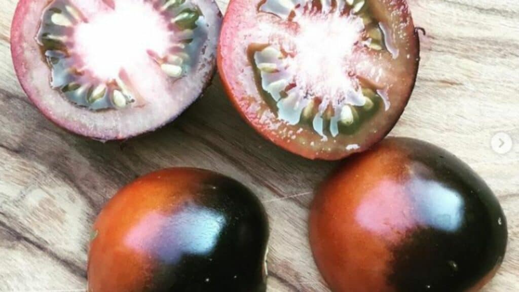 6 Different Varieties Of Blue Tomatoes That You Should Know!