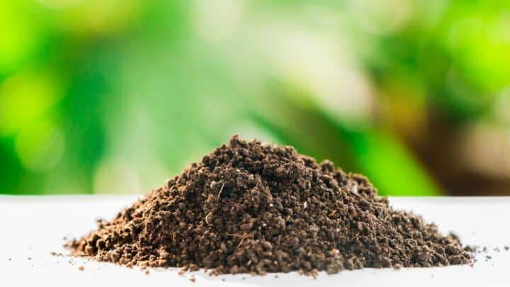 What is The Most Fertile Soil in the World? Wow!