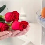 How to Keep Roses Fresh Overnight