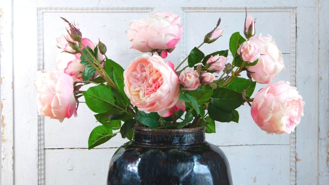 How to Take Care of Roses in a Vase