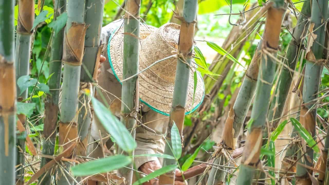 10 Best Affordable And Organic Bamboo Leggings | Panaprium
