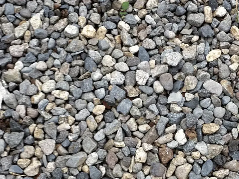 Small rocks around your plants prevent squirrels from digging