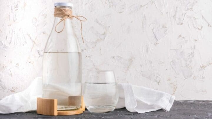 Distilled Water for Houseplants- Good or Bad?