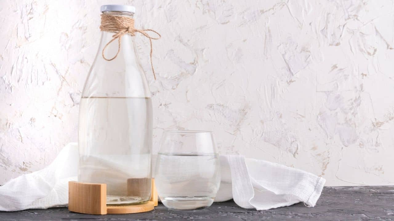 Distilled Water for Houseplants