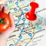 The Best Time to Plant Tomatoes in North Carolina