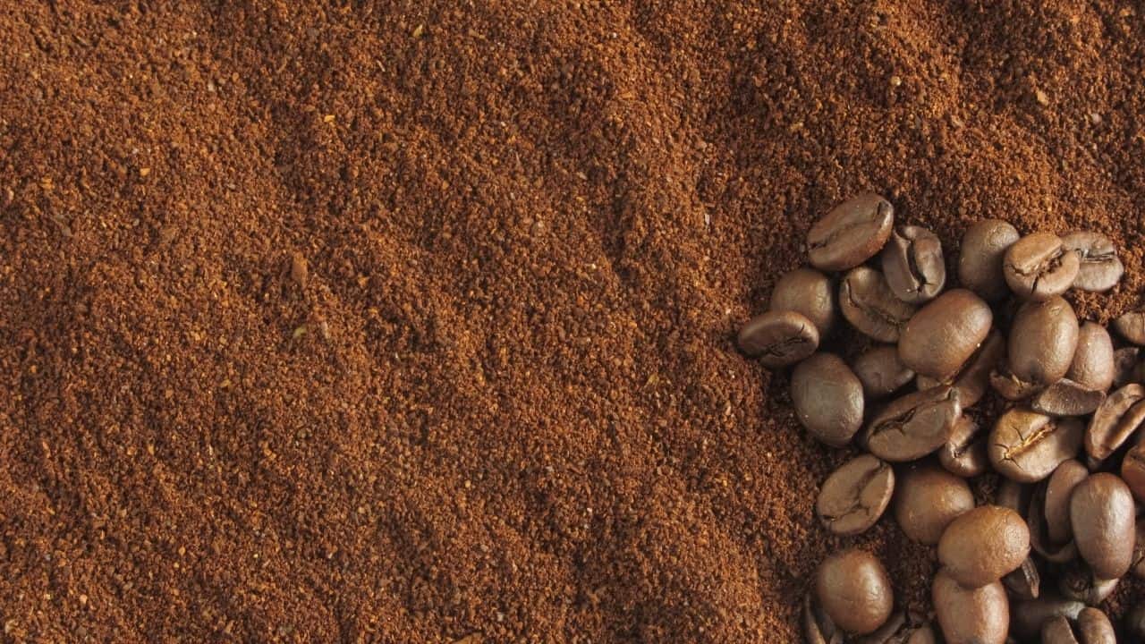 Adding Coffee Grounds to the Soil