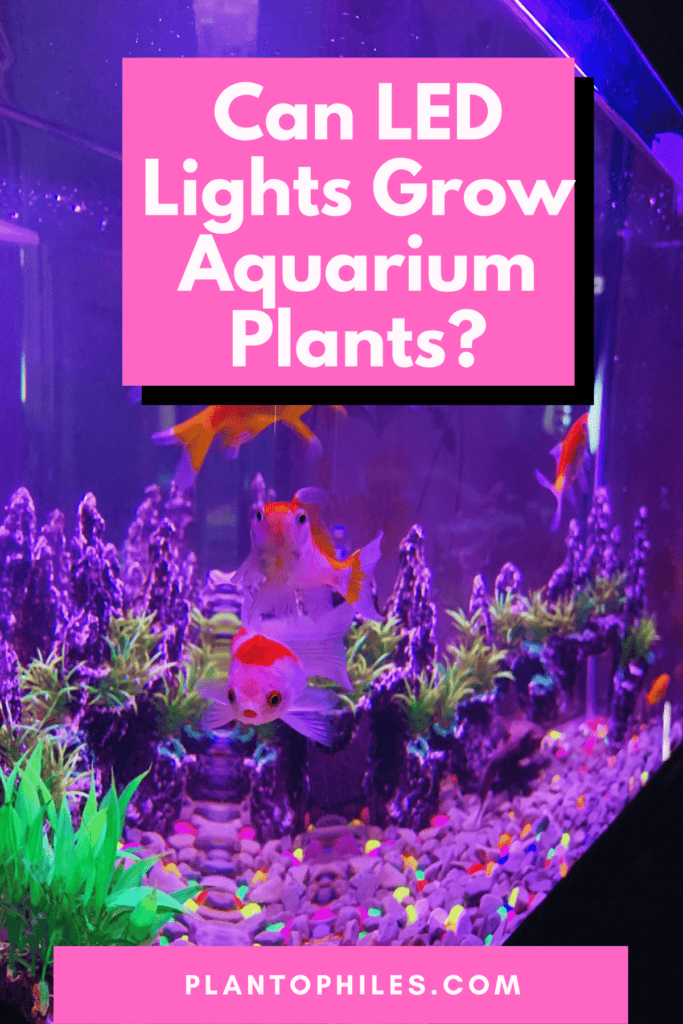 Can LED Lights Grow Aquarium Plants?