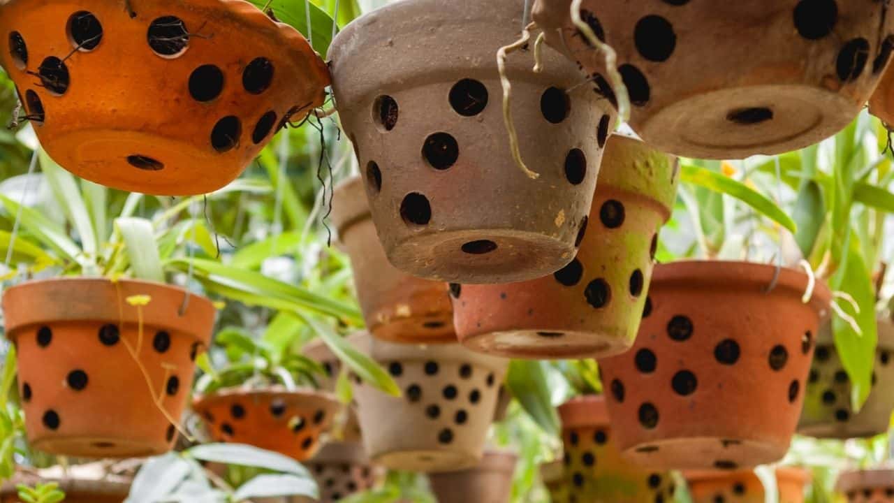 Pots with drainage holes