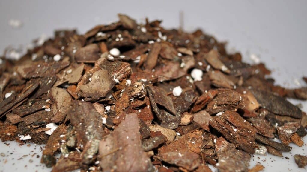 Using Orchid Bark Pieces for Philodendron Brasil Soil Mix