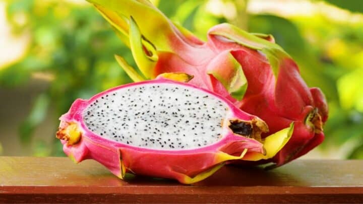 What Does Dragon Fruit Taste Like? Yummy or Yucky?