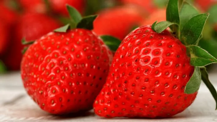 Where Can You Buy Seedless Strawberries? Seedles Strawberries do not exist unfortunately