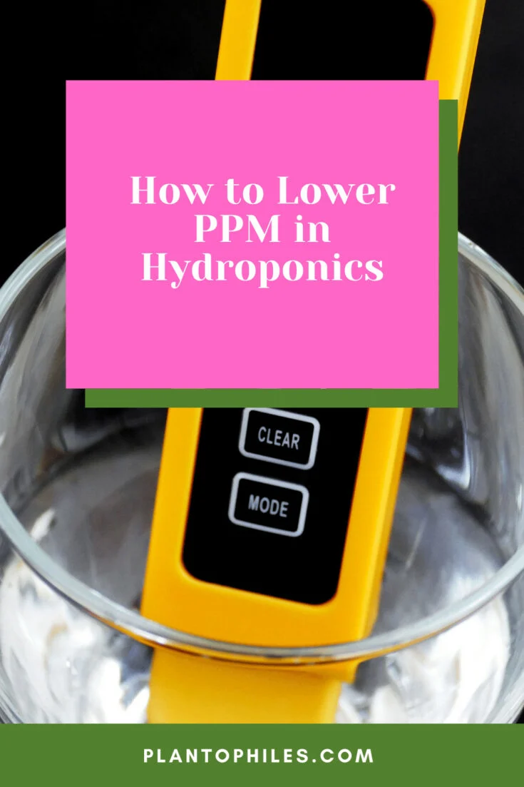 How to Lower PPM in Hydroponics