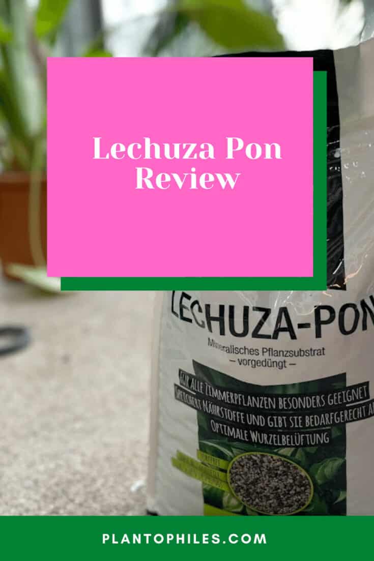 Lechuza Pon Review