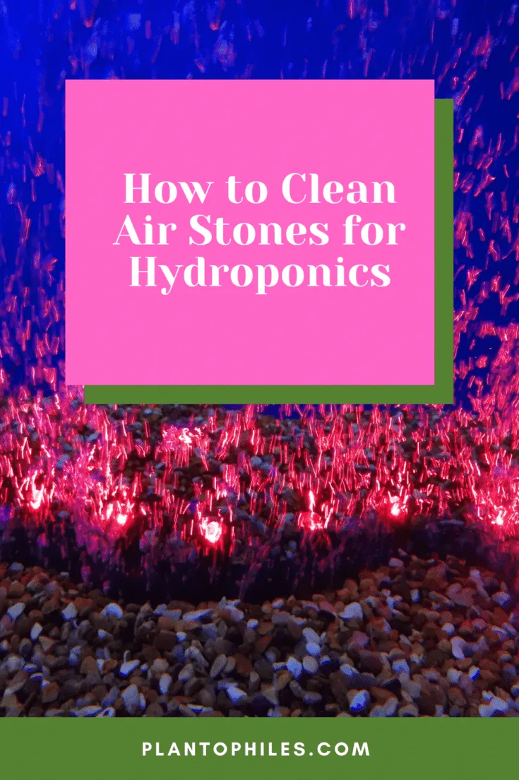 How to Clean Air Stones for Hydroponics