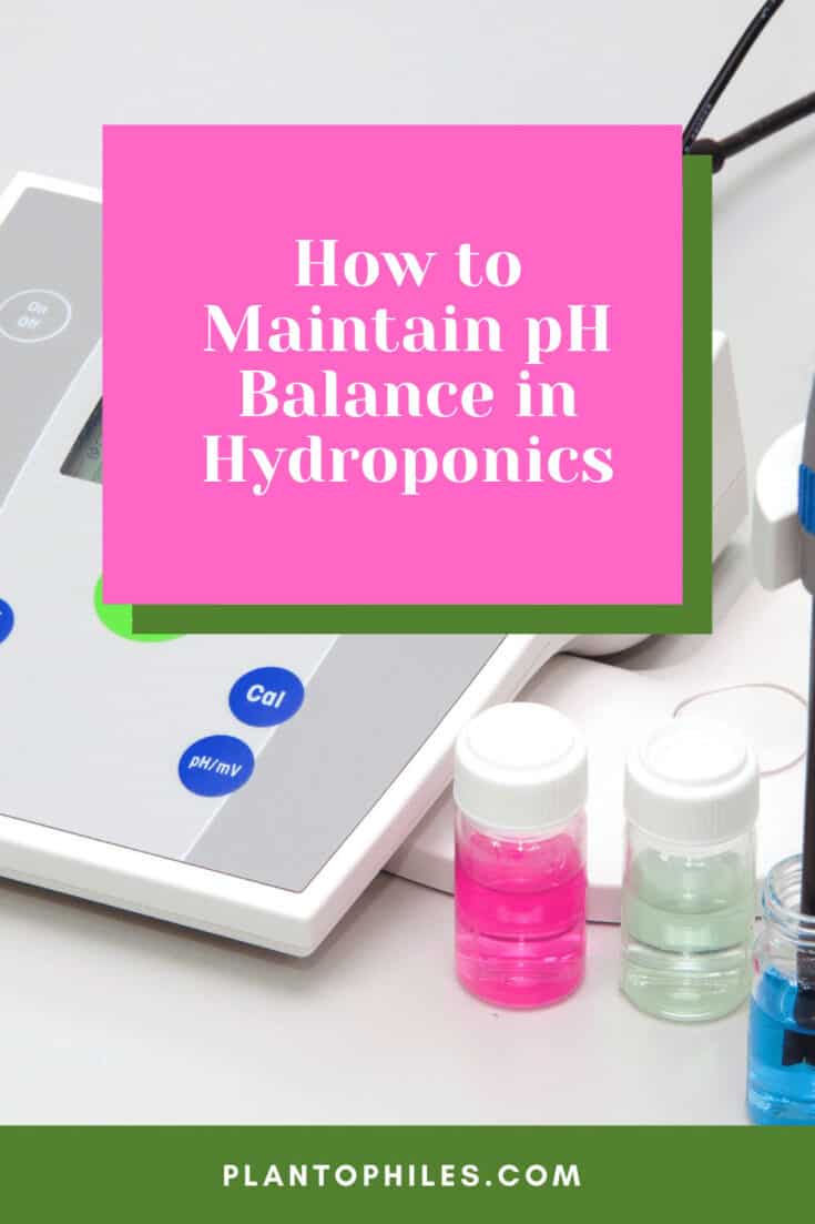 How to Maintain pH Balance in Hydroponics