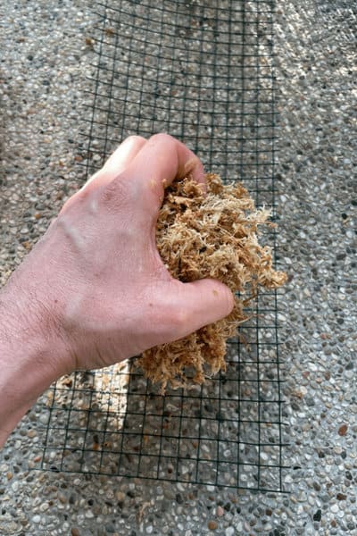 Gently put the moss on the chicken wire