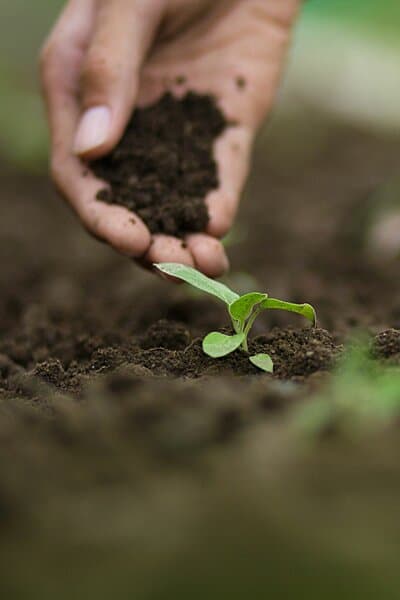 Loamy soil is the best and ideal soil type for growing vegetables