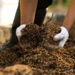 What Soil Is Best for Growing Vegetables