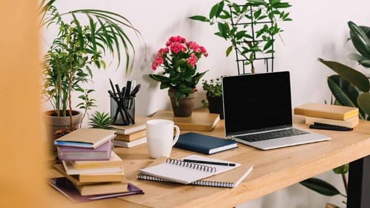 30 Best Plants for Office with No Windows – Top Picks (2024)