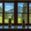 30 Houseplants for Northeast-Facing Window – Best List (2024)