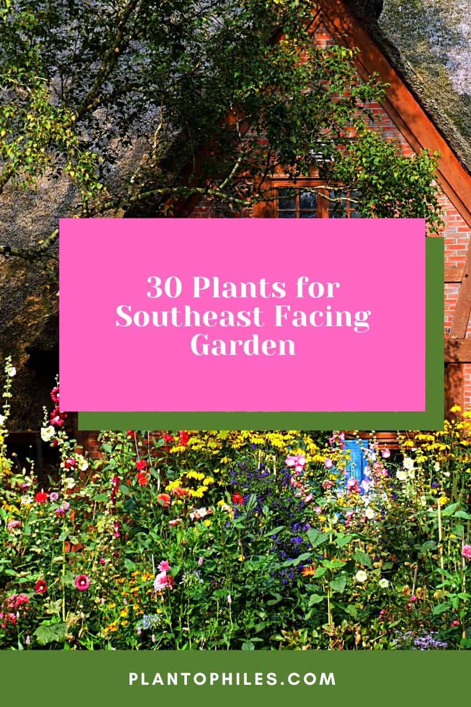 30 Plants for Southeast Facing Garden