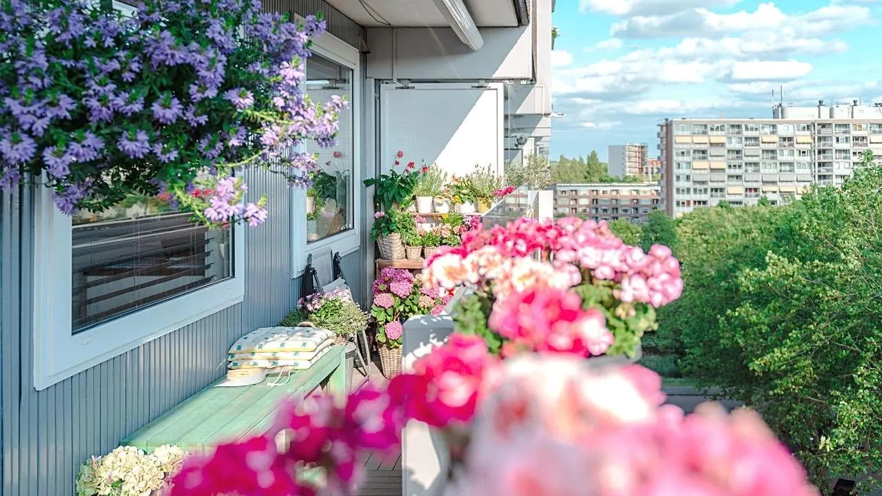 30 Plants for the South-Facing Balcony