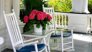50 Best Plants for Shaded Porch