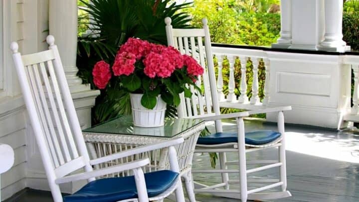 50 Best Plants for Shaded Porch — Top List [2022]