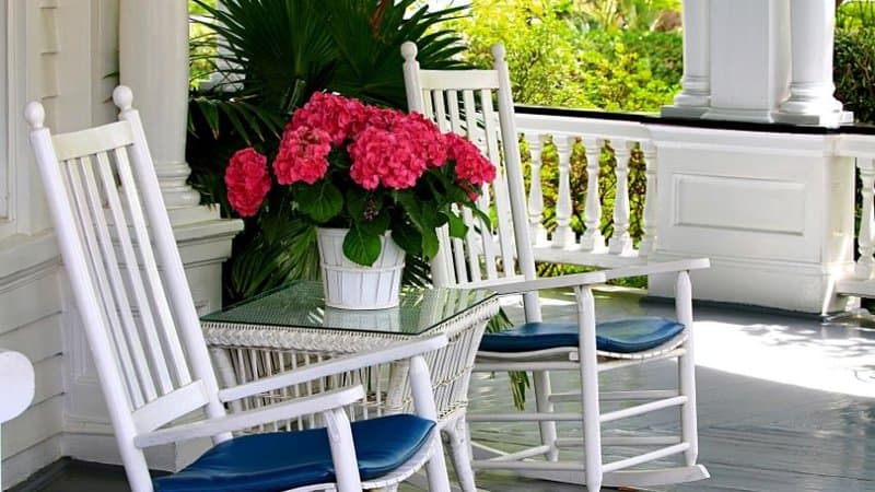 50 Best Plants for Shaded Porch