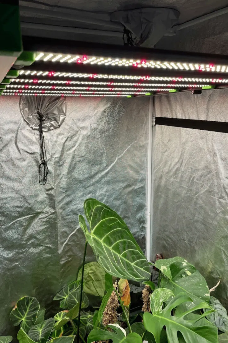 BESTVA BAT W400 Dimmable LED Grow Light in action