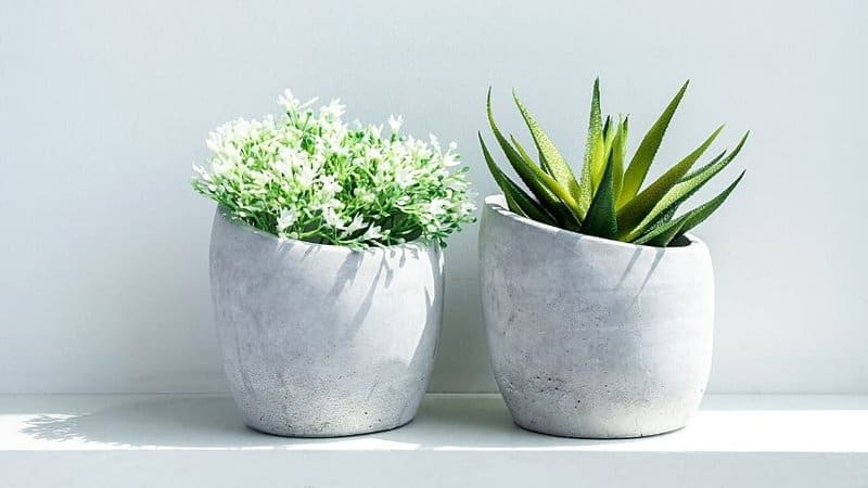 Cement hanging planters are sturdy and environment-friendly containers for your succulents