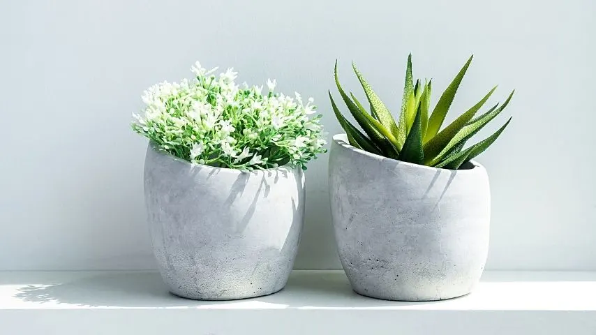Cement hanging planters are sturdy and environment-friendly containers for your succulents