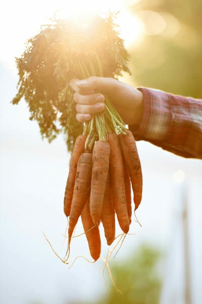 For my vegetables I am only using organic pesticides as I will later consume the vegetables myself