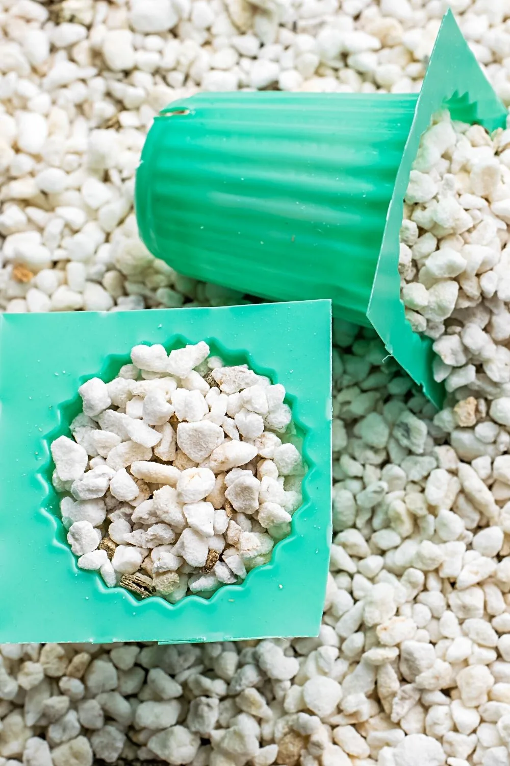 If you'll use a store-bought soil mix for your ZZ plant, make sure it contains perlite