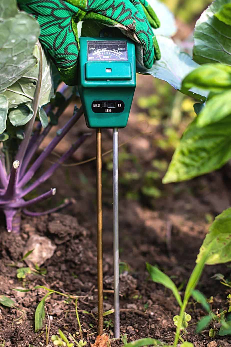 Invest in a moisture meter for a more accurate measurement of soil moisture for your ZZ Plant