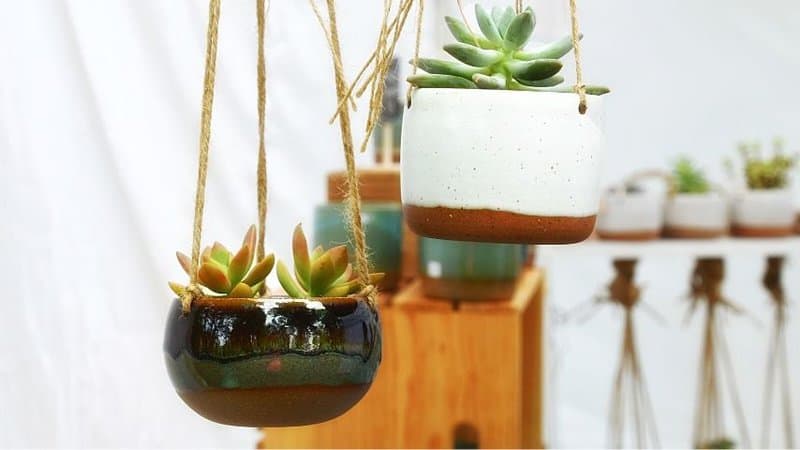Mini plant hangers are one of the best containers for your succulents if you're aiming to add a splash of color