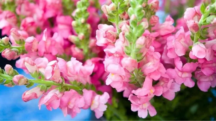 6 Container Combinations that Actually Work