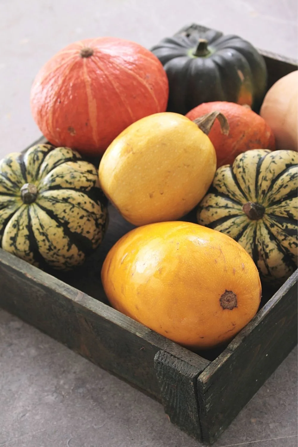 Squash is a highly-nutritious vegetable that you can easily grow on a south-facing balcony