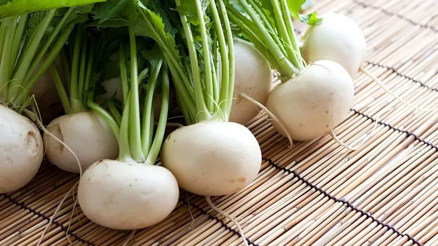 Turnips (Brassica rapa) is another great plant to grow in your vegetable garden as you can eat both the greens and the roots