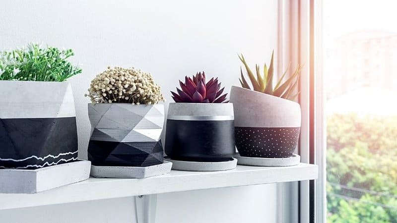 Wall-mounted decorative geometric wall planters is another great container for your succulents