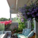 30 Best Plants for Balcony