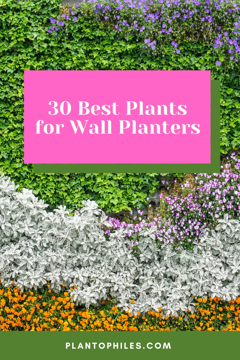 30 Best Plants for Wall Planters