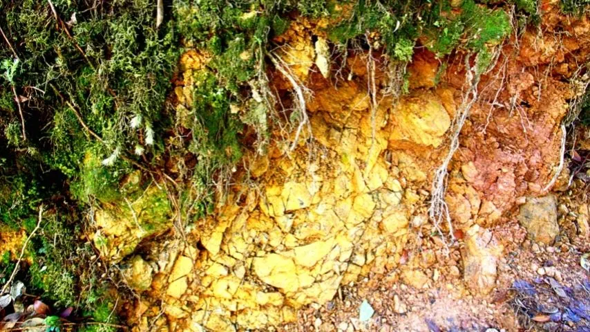 Erosion is another process in soil formation wherein the small particles broken down are moved to another place